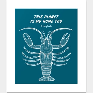 Crayfish - This Planet Is My Home Too - detailed animal design Posters and Art